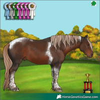 Horse Color:Liver Chestnut Tobiano 