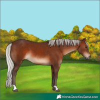 Horse Color:Silver Brown 