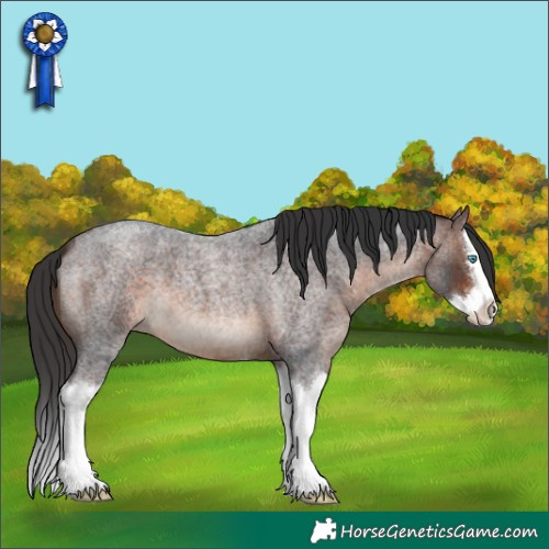 Horse Color:Brown Roan Splash 