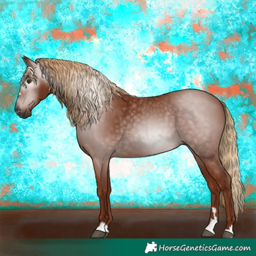 Horse Color:Gray Chestnut