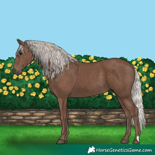 Horse Color:Silver Black 