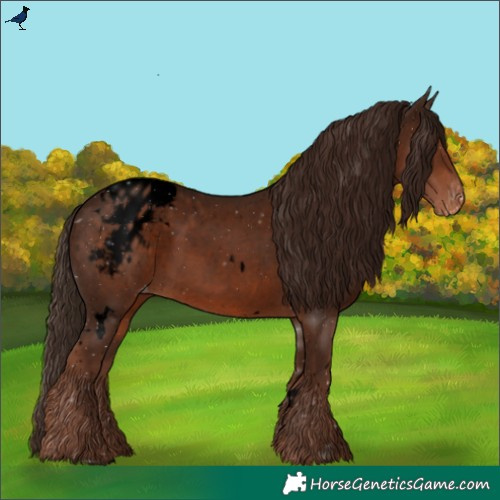 Horse Color:Void White Spotted Liver Chestnut Varnish
