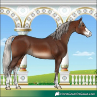 Horse Color:Silver Brown Sabino 