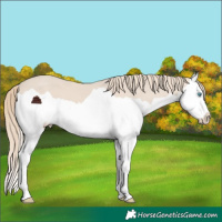 Horse Color:Chocolate Smoky Creme Splash