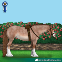 Horse Color:Red Roan 