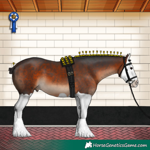 Horse Color:Brown Splash 