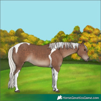 Horse Color:Silver Black Tobiano 