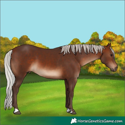 Horse Color:Silver Brown 