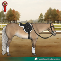 Horse Color:Silver Buckskin Dun 
