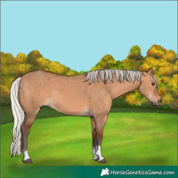 Horse Color:Silver Bay Dun Tobiano 