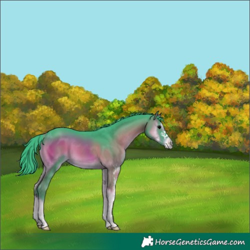 Horse Color:Watercolor Blue Onyx Sabino 