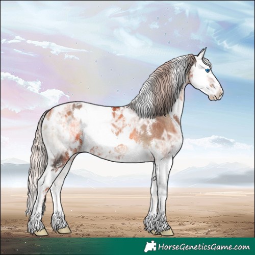 Horse Color:White Spotted Silver Blue Onyx Ice Splash Rabicano 