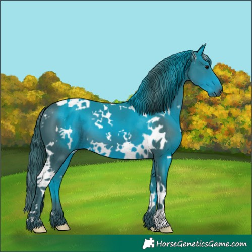 Horse Color:Watercolor White Spotted Black 