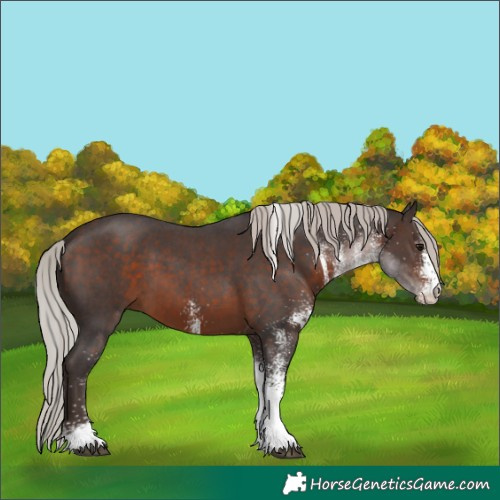 Horse Color:White Spotted Silver Brown Tobiano 