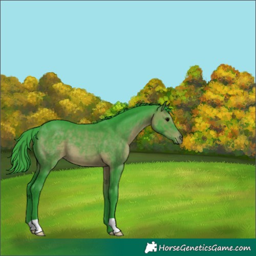 Horse Color:Watercolor Brown 