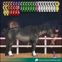 Horse Color:Black 