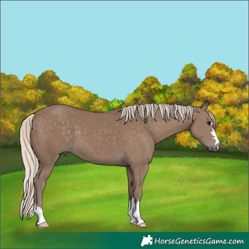Horse Color:Chocolate Silver Smoky Black 
