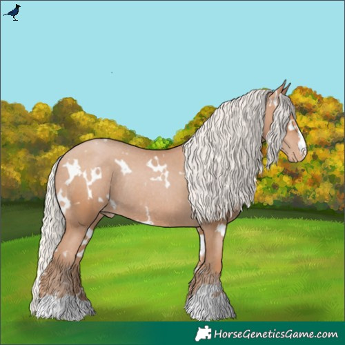 Horse Color:White Spotted Silver Black Pearl Varnish Rabicano