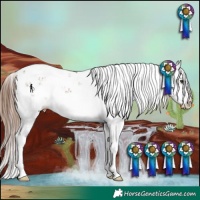 Horse Color:Chestnut Sabino Splash
