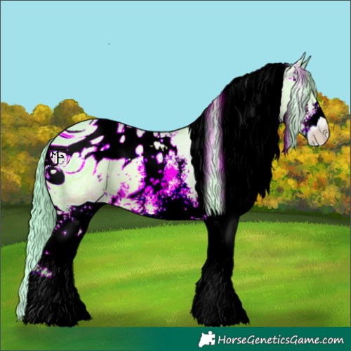 Horse Color:ERROR: UNKNOWN ANOMALY