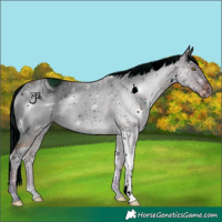 Horse Color:ERROR: UNKNOWN ANOMALY