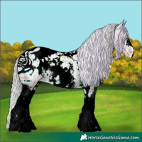 Horse Color:ERROR: UNKNOWN ANOMALY