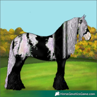 Horse Color:ERROR: UNKNOWN ANOMALY