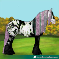 Horse Color:ERROR: UNKNOWN ANOMALY