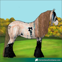 Horse Color:ERROR: UNKNOWN ANOMALY