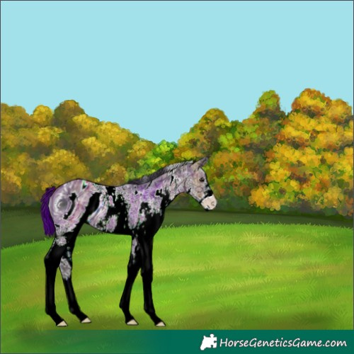 Horse Color:ERROR: UNKNOWN ANOMALY