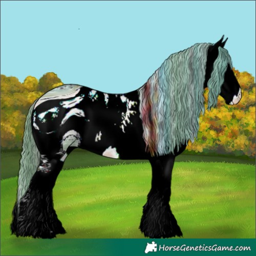 Horse Color:ERROR: UNKNOWN ANOMALY