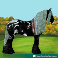 Horse Color:ERROR: UNKNOWN ANOMALY