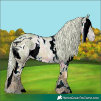 Horse Color:ERROR: UNKNOWN ANOMALY