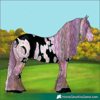 Horse Color:ERROR: UNKNOWN ANOMALY