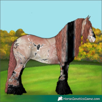 Horse Color:ERROR: UNKNOWN ANOMALY