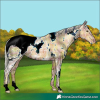 Horse Color:ERROR: UNKNOWN ANOMALY