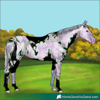 Horse Color:ERROR: UNKNOWN ANOMALY