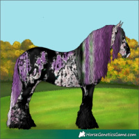 Horse Color:ERROR: UNKNOWN ANOMALY and ERROR: UNKNOWN ANOMALY