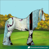 Horse Color:ERROR: UNKNOWN ANOMALY