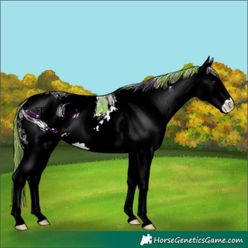 Horse Color:ERROR: UNKNOWN ANOMALY