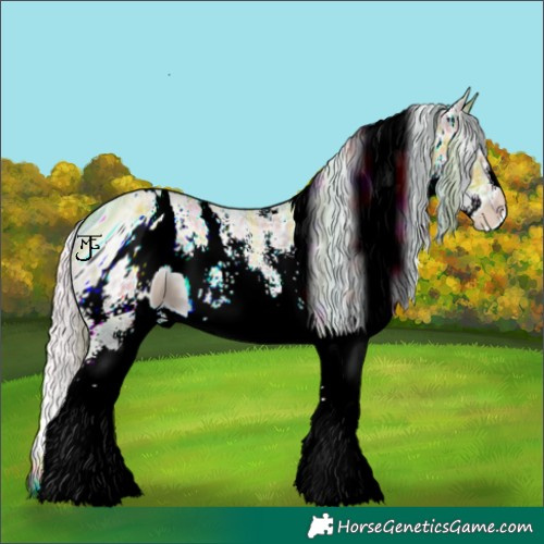 Horse Color:ERROR: UNKNOWN ANOMALY