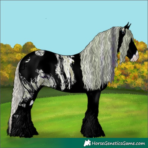 Horse Color:ERROR: UNKNOWN ANOMALY