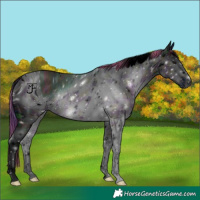 Horse Color:ERROR: UNKNOWN ANOMALY