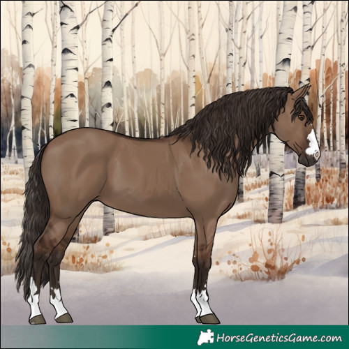 Horse Color:Liver Red Dun 