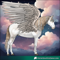 Horse Color:Red Roan Pearl Splash Tobiano  and Blue Roan Pearl Splash Tobiano 