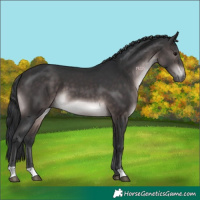 Horse Color:Platinum Brown 