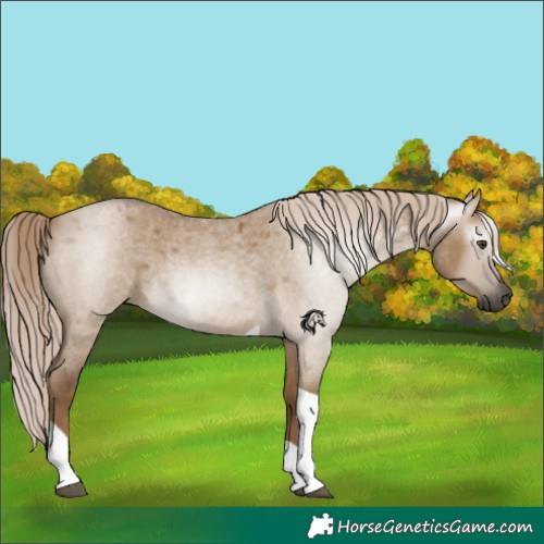 Horse Color:Gray Chocolate Palomino Roan Dun Tobiano