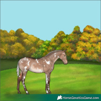 Horse Color:White Spotted Silver Brown Dun Mushroom 