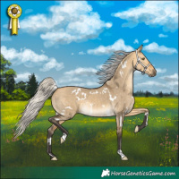 Horse Color:White Spotted Silver Buckskin Dun