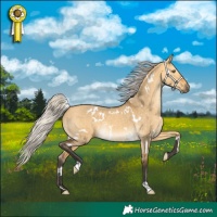 Horse Color:White Spotted Silver Buckskin Dun 